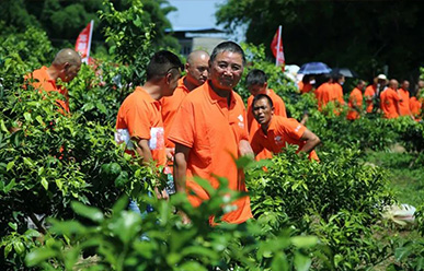 震驚：50元買一只紅蜘蛛？!——這一次，果農(nóng)們有話要說