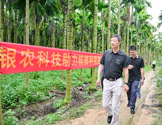 不斷創(chuàng)新納米農(nóng)藥，“銀農(nóng)三寶”助力檳榔提質(zhì)增收